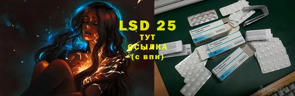 спиды Елизово
