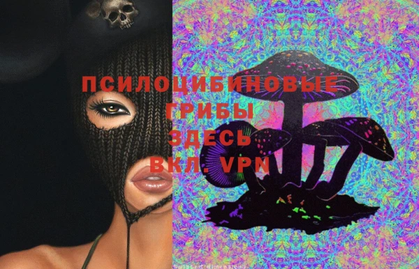 MDMA Premium VHQ Ельня