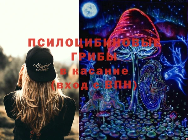 PSILOCYBIN Елабуга