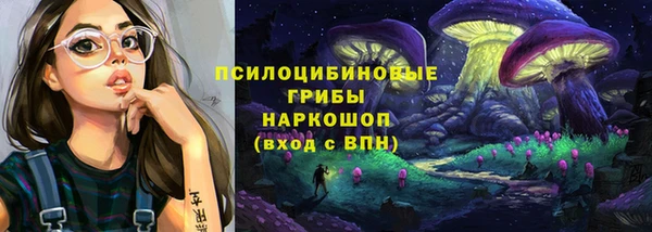 спиды Елизово