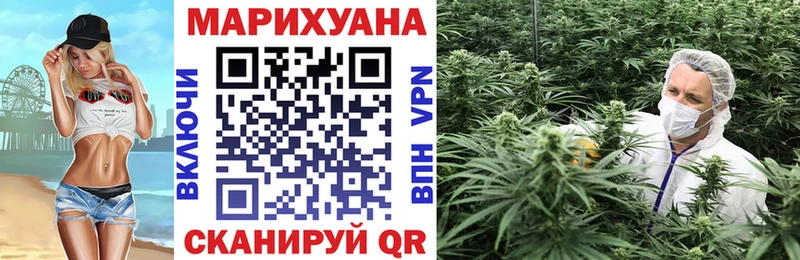 Конопля сатива  Северобайкальск 