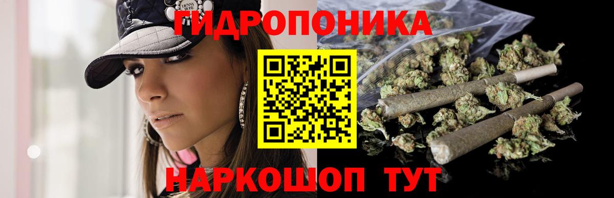 Северобайкальск  Бошки марихуана план  Вход с VPN  Бошки Шишки семена  Шишки марихуана тримм 